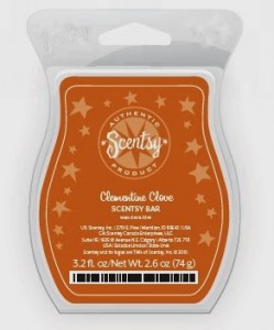 Scentsy Clementine Clove - December 2013 Scent of the Month
