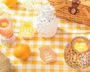 Summer Scentsy Decorating Tips