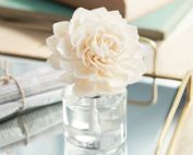 Scentsy Wall Fan Diffuser Fall 2019 Catalog