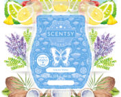 Glacier Waters - Scentsy Scent of the Month - August 2022